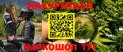 индика Краснознаменск